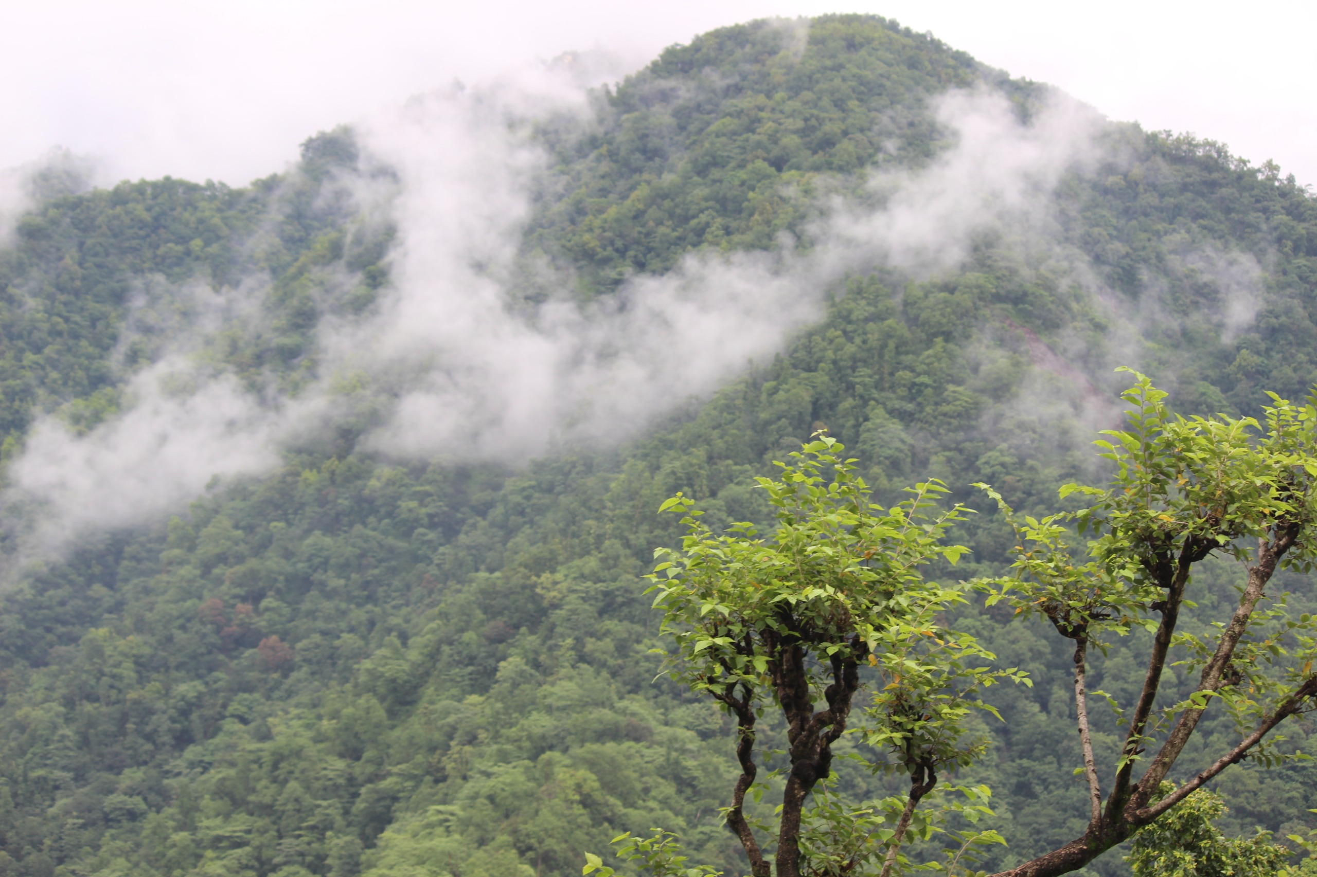 Peaceful Accommodation